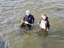 Load image into Gallery viewer, Donate to ReClam the Bay