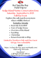 09-06-2025 Field Trip Sedge Island Marine Conservation Zone