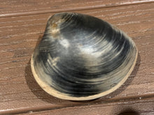 Load image into Gallery viewer, Hand Carved Wooden Clams