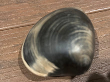 Load image into Gallery viewer, Hand Carved Wooden Clams