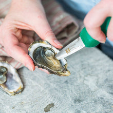 Load image into Gallery viewer, Oyster Shucking Knife